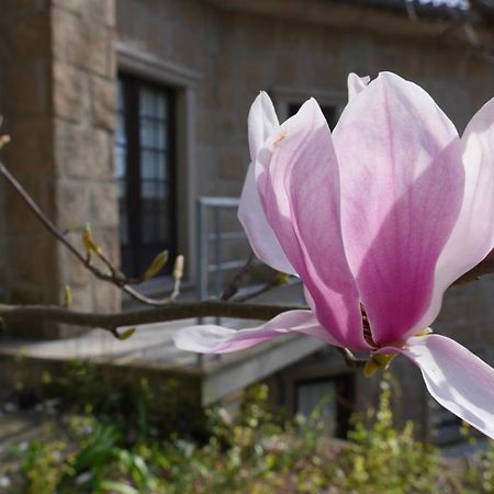 Alvores Do Tempo - Quinta De Turismo Rural Guest House Castro Daire Ngoại thất bức ảnh