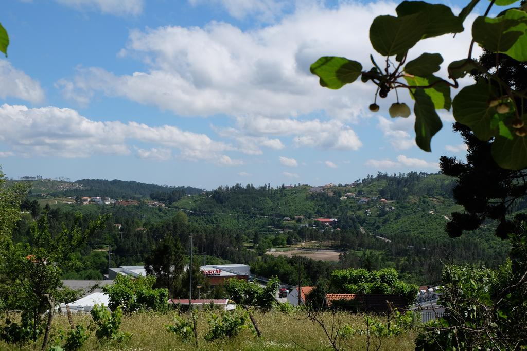 Alvores Do Tempo - Quinta De Turismo Rural Guest House Castro Daire Ngoại thất bức ảnh