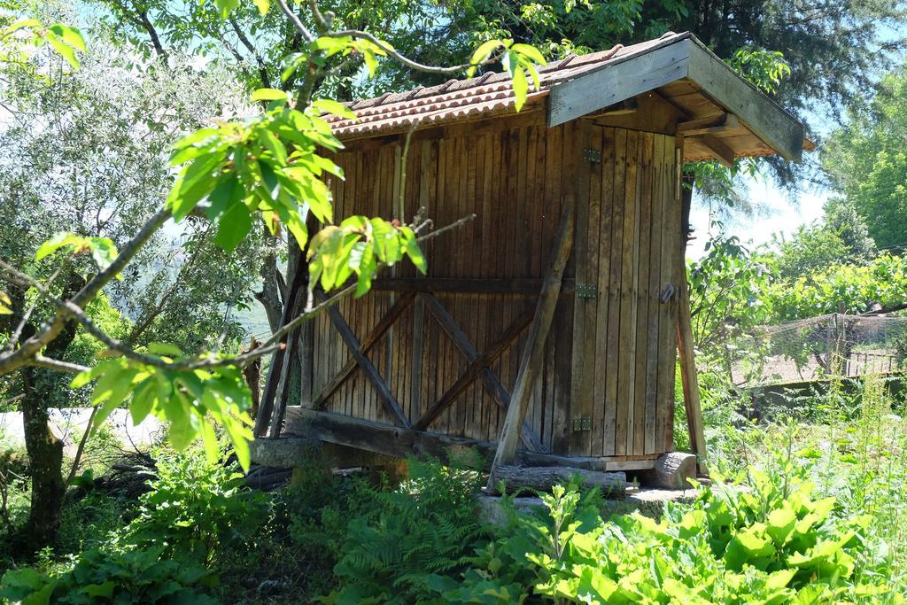 Alvores Do Tempo - Quinta De Turismo Rural Guest House Castro Daire Ngoại thất bức ảnh