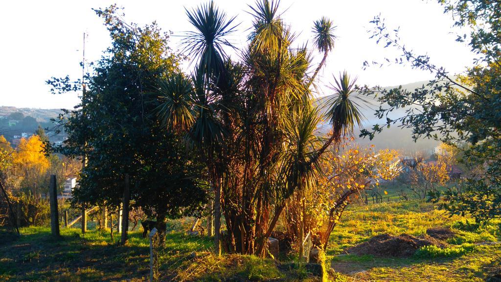 Alvores Do Tempo - Quinta De Turismo Rural Guest House Castro Daire Ngoại thất bức ảnh