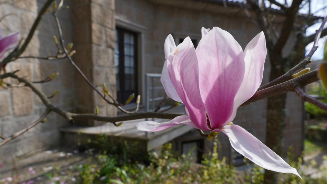 Alvores Do Tempo - Quinta De Turismo Rural Guest House Castro Daire Ngoại thất bức ảnh